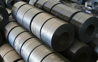 王懷世 鋼鐵未來(lái)發(fā)展看特鋼